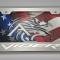 American Car Craft Dodge Viper Gen 3-5 Tag Frame Stainless Steel Viper Font (Polished Finish) 972095