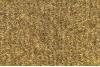 7037 Doeskin/Cam Tan