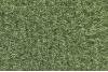 869 Willow Green