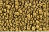 20 Gold