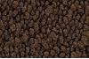 10 Dark Brown