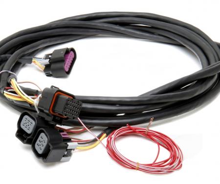 Holley EFI Dominator EFI GM Dual Drive-by-Wire Harness 558-411