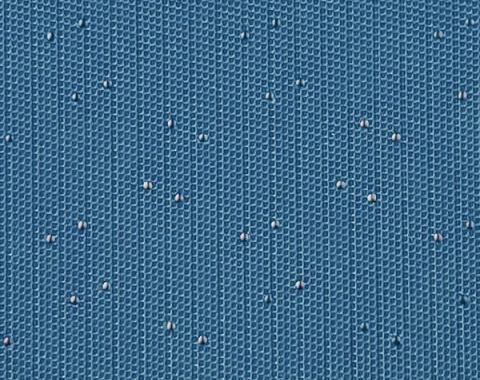 Legendary Auto Interiors 1964 Dodge Dart 270/Dart Gt Hardtop Headliner (Weymouth Perforated)