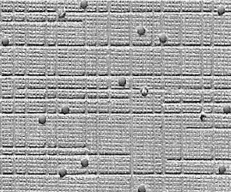 Legendary Auto Interiors 1965 Dodge Coronet 440/500 Hardtop Headliner (Crosshatch Perforated)