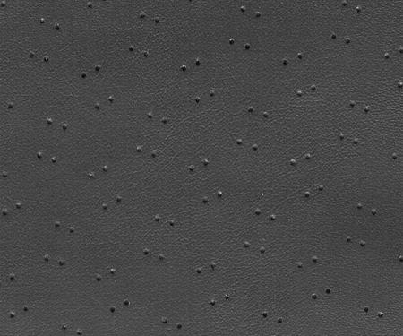 Legendary Auto Interiors 1968 Dodge Polara Polara 500 Hardtop Headliner (Fine Pembrook Perforated)