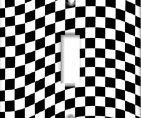 Checkered Switchplate