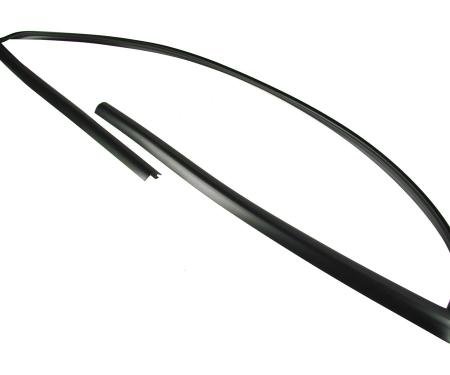 Precision Windshield Molding WFS D1381