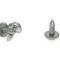AMD Windshield Washer Reservoir Mounting Screw Set, 2pcs, 67-76 Dodge Plymouth A-Body; 66-74 B-Body; 70-74 E-Body F-800