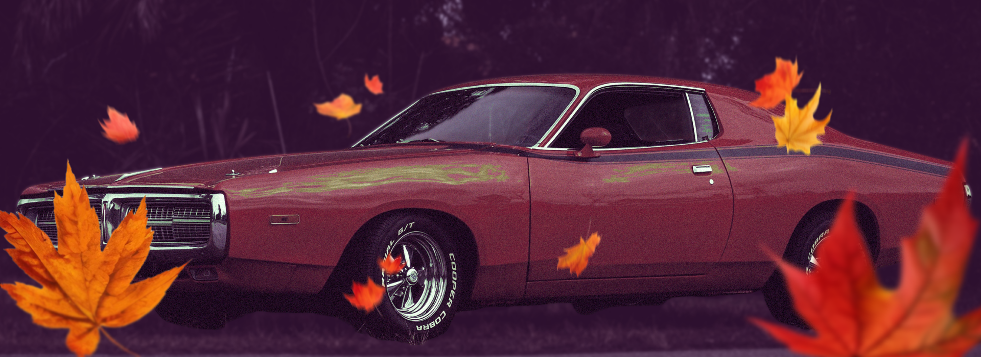 Fall Is Here