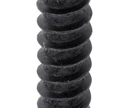 OER 1970-74 Dodge Dart Park Lamp Screw - Phillips Pan Head Black Oxide Tapping Screw 10181