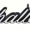 OER 1970 Dodge Challenger, Grill Emblem, Challenger Script, Each 2998546